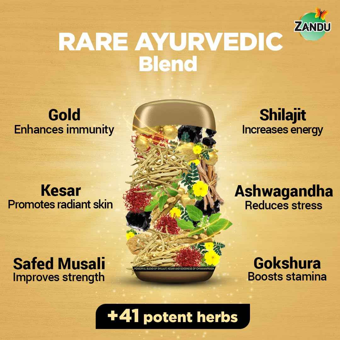 Zandu Shilajitprash, combination of Shilajit and selected herbs of Chyawanpash, a powerhouse of 47 potent Ayurvedic herbs | 3 Action formula to boost strength, stamina & immunity | 900 Gm